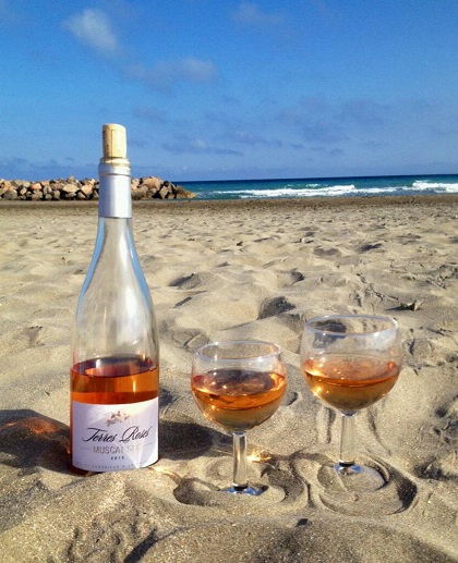 Terres Roses à la mer