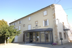Antech