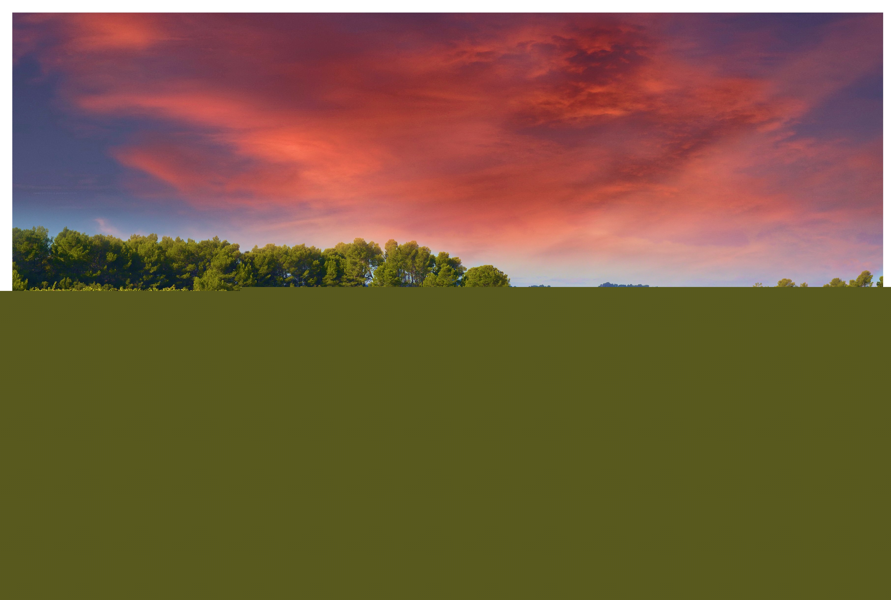 Les vignes Khalkhal